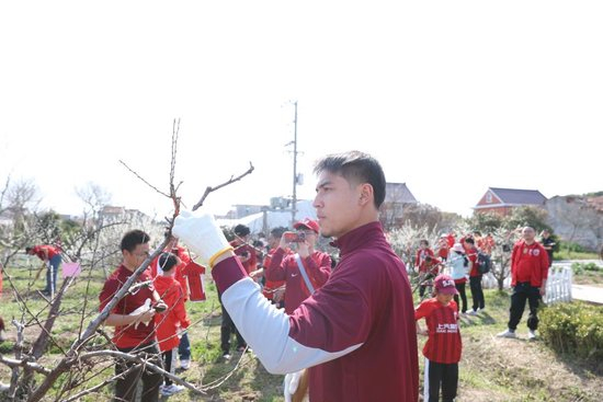 BJL平台集团案例展示