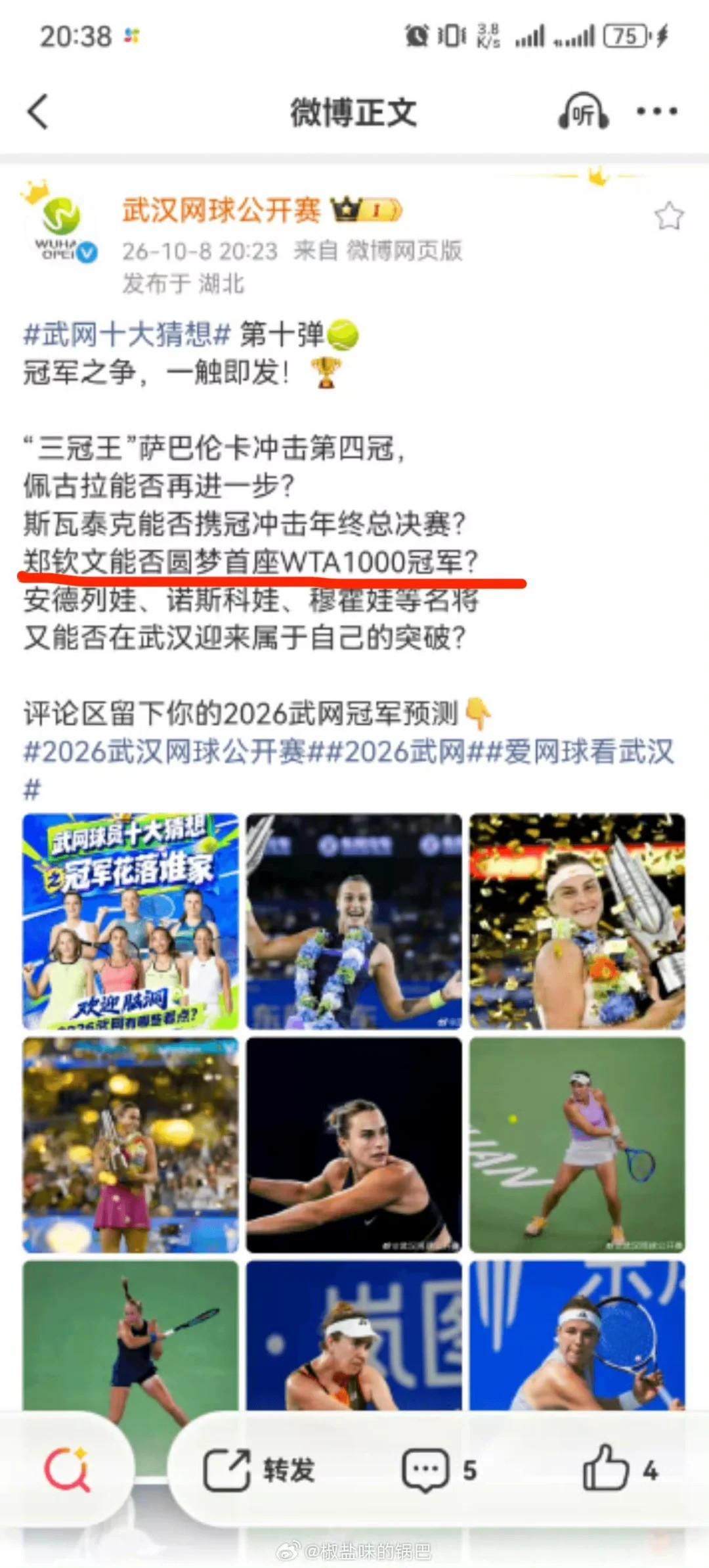 BJL平台集团详情图